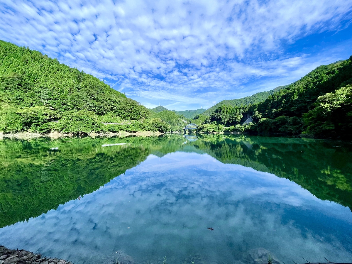 素敵な朝