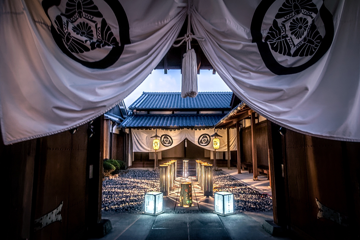 光の競演