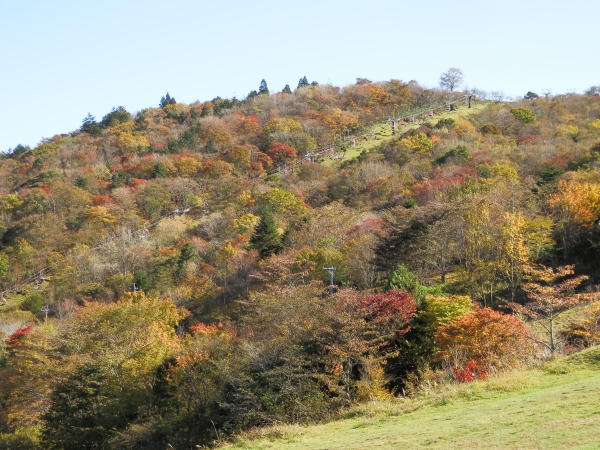 萩太郎山の秋