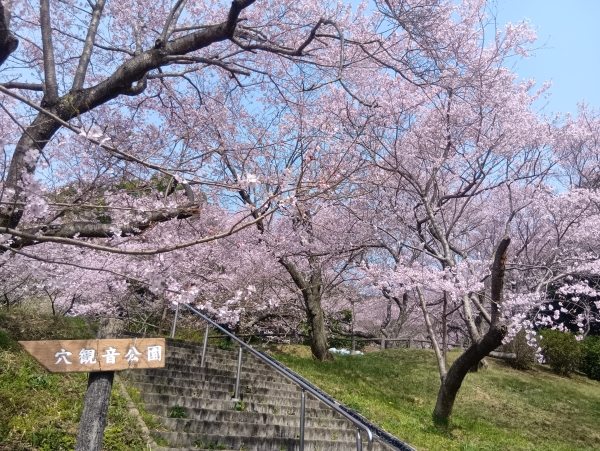初春の頃